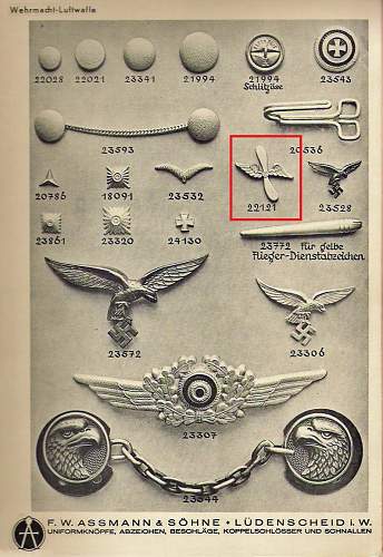 Luftwaffe pin?