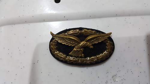 Luftwaffe Emblem?