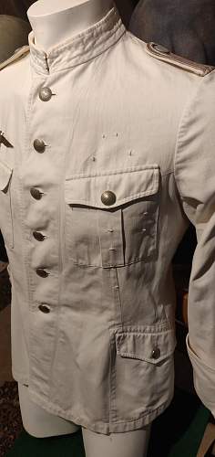 Kriegsmarine summer tunic or early wehrmacht officers tunic?