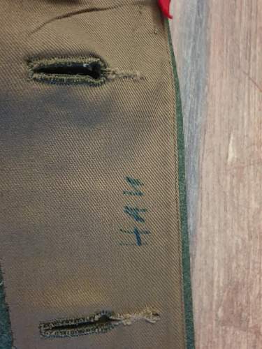 Help with a Oberst tunic in the Gebirgsjäger.