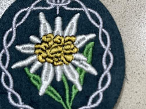 Assistance with Edelweiss cloth insignia