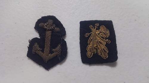 Identification of  possible sleeve badge
