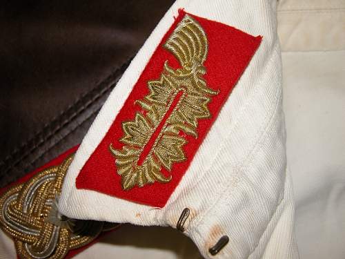 Army White Walking Tunic Lt. General Infantry?  Does it have what it takes to pass muster?