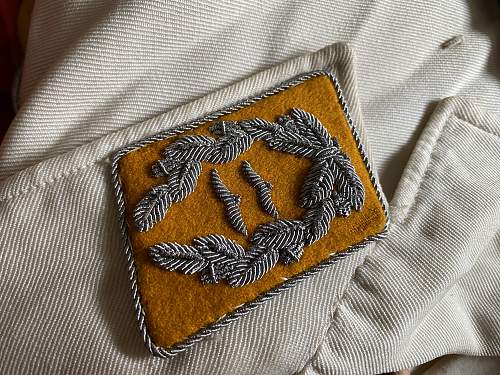 Luftwaffe Galauniform FSJ-Division