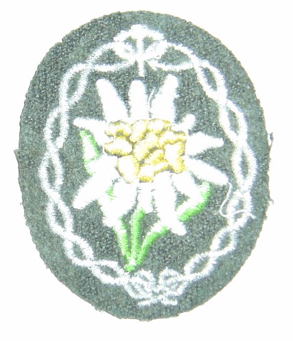 OPINIONS needed for Edelweiss insignia!!!!