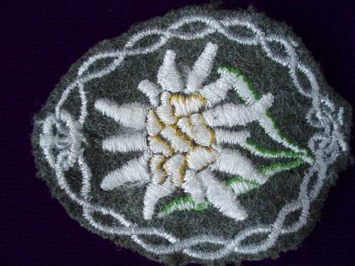 OPINIONS needed for Edelweiss insignia!!!!