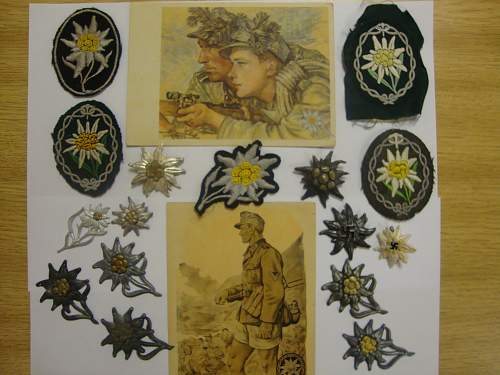 OPINIONS needed for Edelweiss insignia!!!!