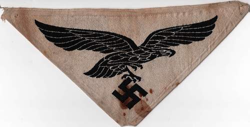 Luftwaffe sport shirt insignia?