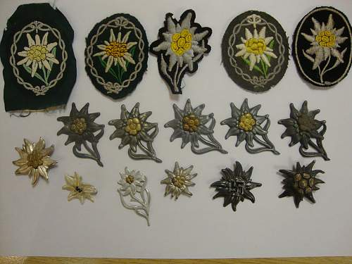 Edelweiss cap and cloth insignia - Good or bad?