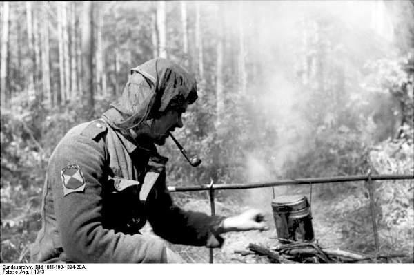 Foreign Volunteers Insignia-Reference Thread