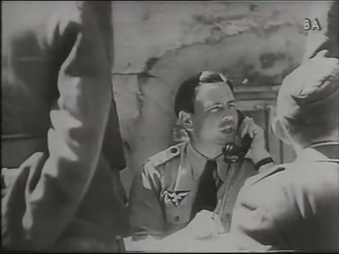 Luftwaffe tropical shirt with European theater insignia?