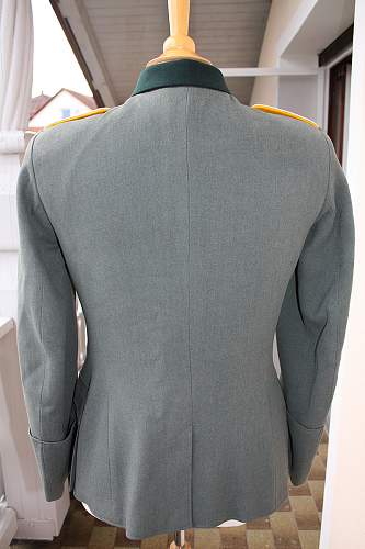 Cavalry Lt. Tunic: Opinions please!