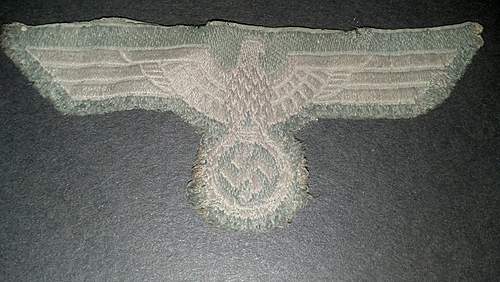 Cloth German Eagle, is this a Tropical Eagle or am I mistaken.