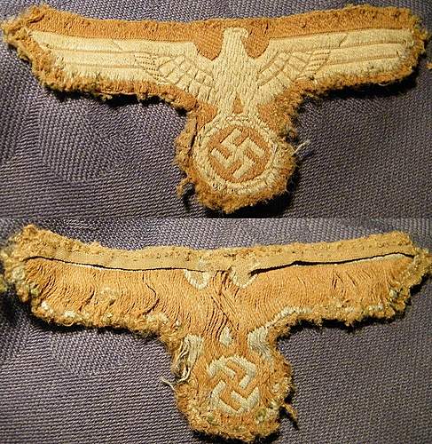 Cloth German Eagle, is this a Tropical Eagle or am I mistaken.