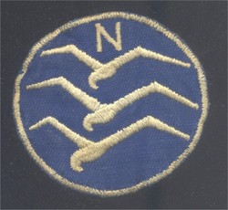 Glider Pilots Badge