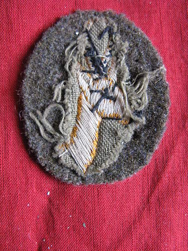 Claimed &quot;rare Heer Anti-partiasn&quot; unit patch?  Never seen before, real?