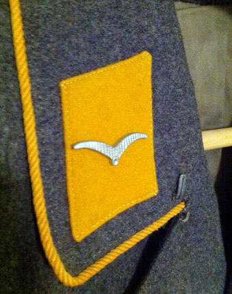 Need opinions on this Luftwaffe Flight Tunic...