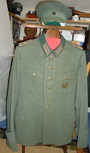 What is this?????????? fieldblouse/tunic/waffenrock?