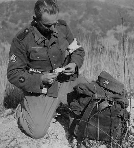 The German Gebirgstruppen in period pics....