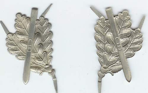 Ski jager cap badges - whats the story?