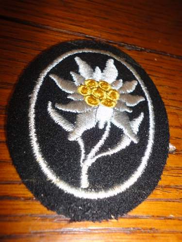 OPINIONS needed for Edelweiss insignia!!!!