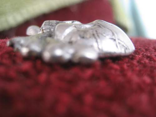 Traditions cap skull from the Berlin hoard