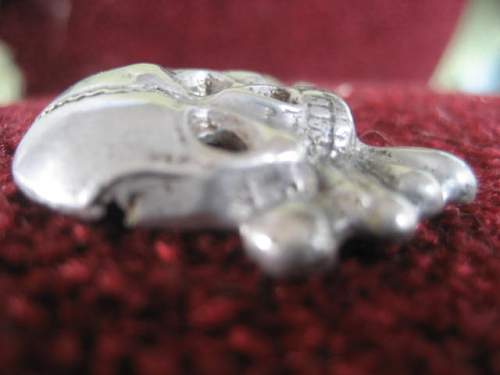 Traditions cap skull from the Berlin hoard