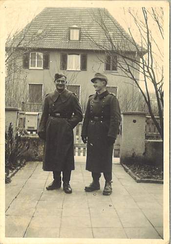 The German Gebirgstruppen in period pics....