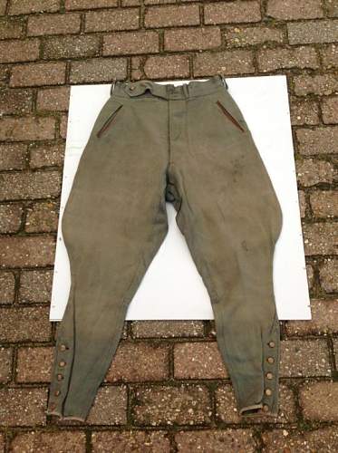 German pant or italian