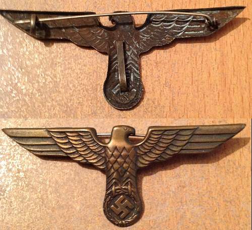 Eagle Badge ?