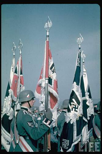 My Collection of Army Standard Bearers Sleeve Shields