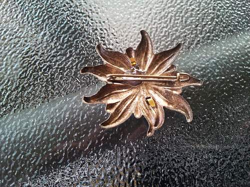 Gebirgsjager edelweiss pin back badge