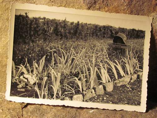 The German Gebirgstruppen in period pics....