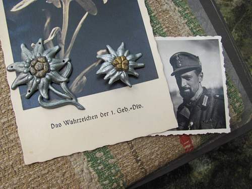 The German Gebirgstruppen in period pics....