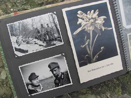 The German Gebirgstruppen in period pics....