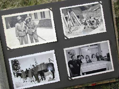 The German Gebirgstruppen in period pics....