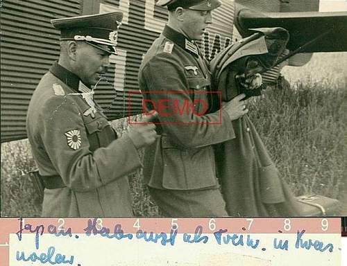 Very interesting photo, Japanese observer wearing a Heer WW2 uniform