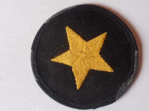 Kriegsmarine insignia ?