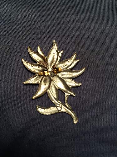 Edelweiss pin, authentic or not?