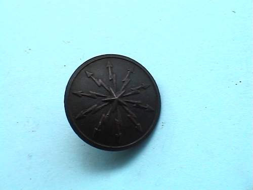 Swedish button from Hermann Goring trenches