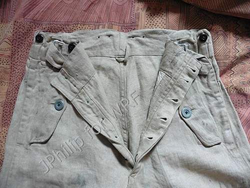 early stone gray pants