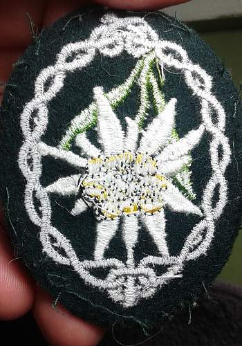 WW2 German Mountain Troop Sleeve Edelweiss Patch ??