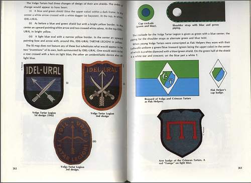 Crimean Tartar &quot;self defence &quot; companies  arm badge ?