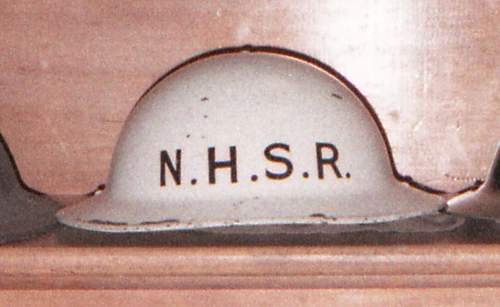 n.h.s.r mkiv turtle