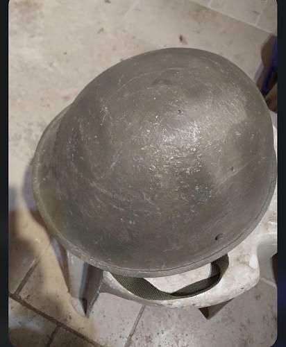 Turtle Helmet Help ID