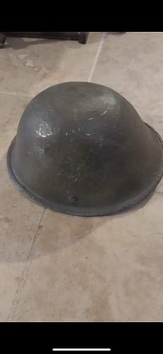 Turtle Helmet Help ID