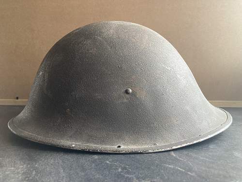 Turtle Helmet Help ID