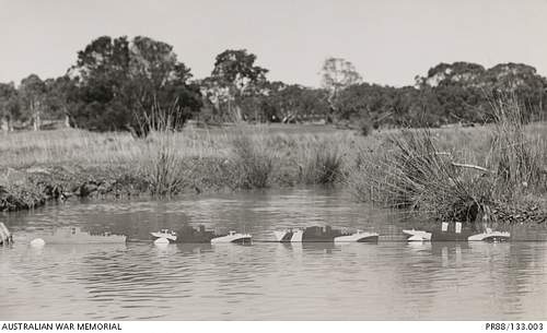 Australian Camoflage Research