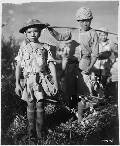 photo of Chinese soldiers wearing MKII &amp; M1