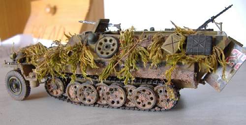 My 1/35 Tamya sd.kfz. 251